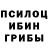 Галлюциногенные грибы Psilocybe Denyser Roblox