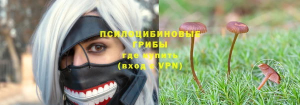 ALPHA PVP Белокуриха