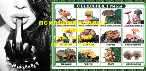 ПСИЛОЦИБИНОВЫЕ ГРИБЫ Беломорск