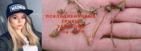 ALPHA PVP Белокуриха